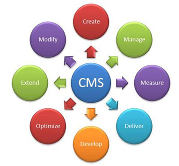 CMS Development